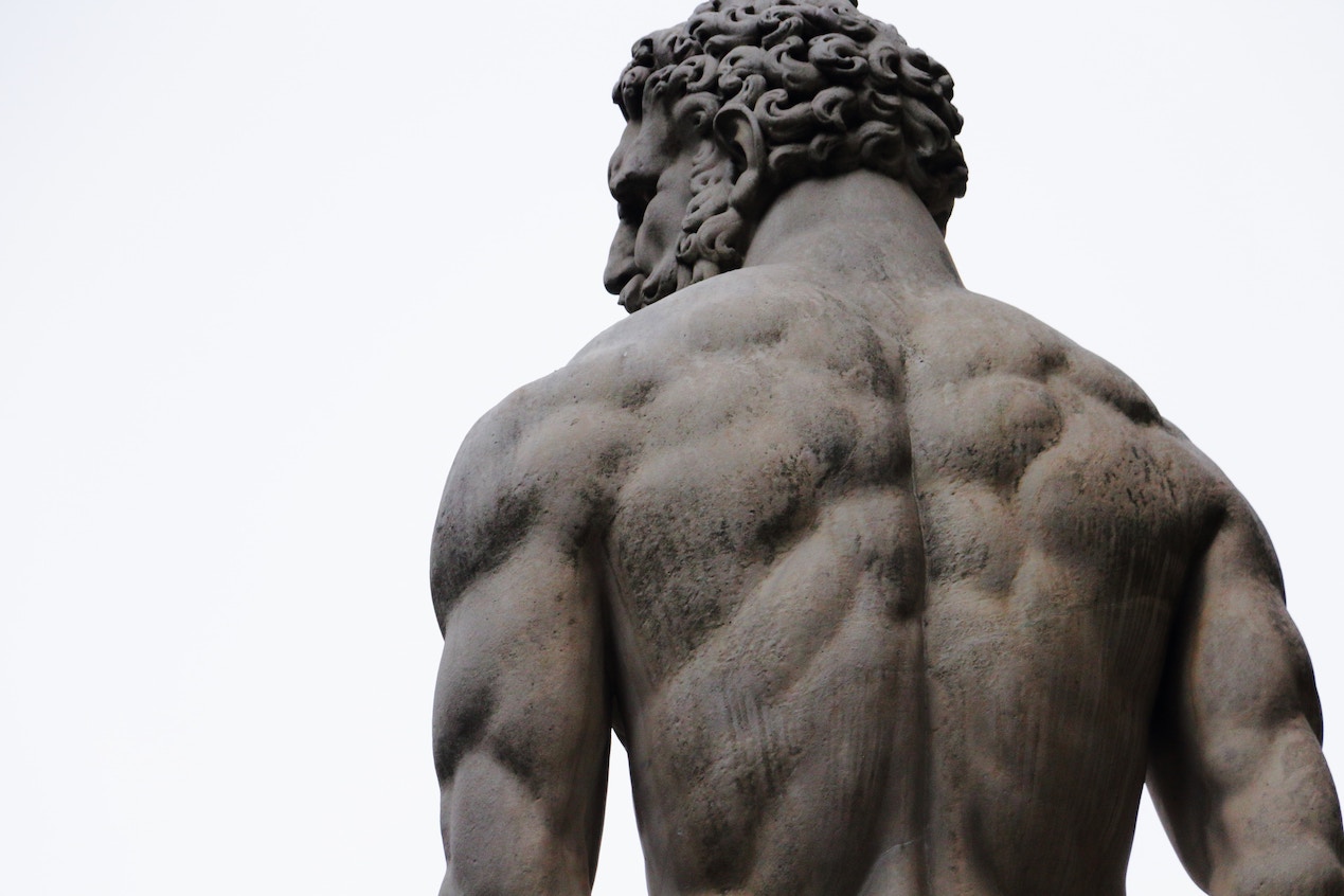 Sculpture of muscly back