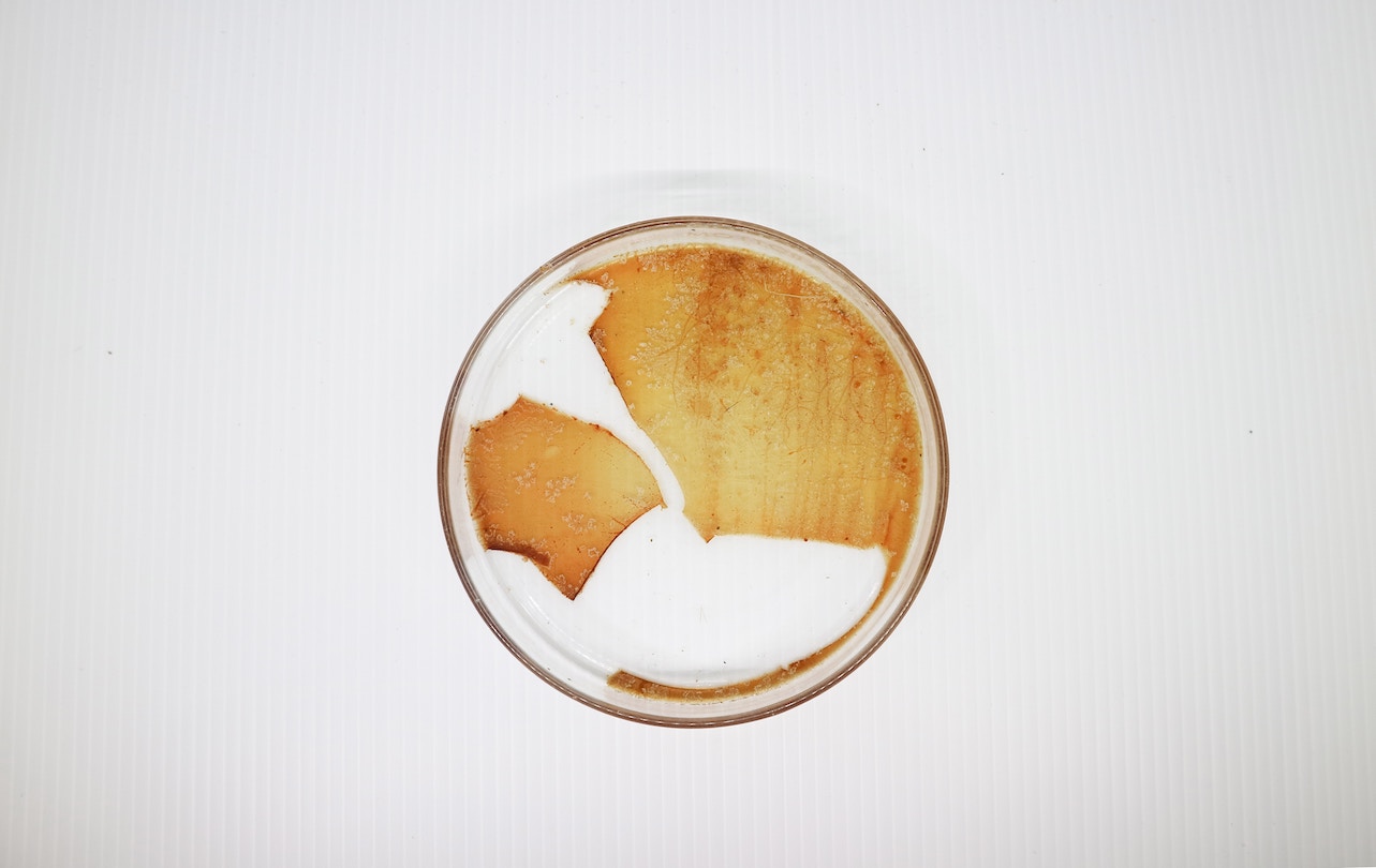 Coffee stain art