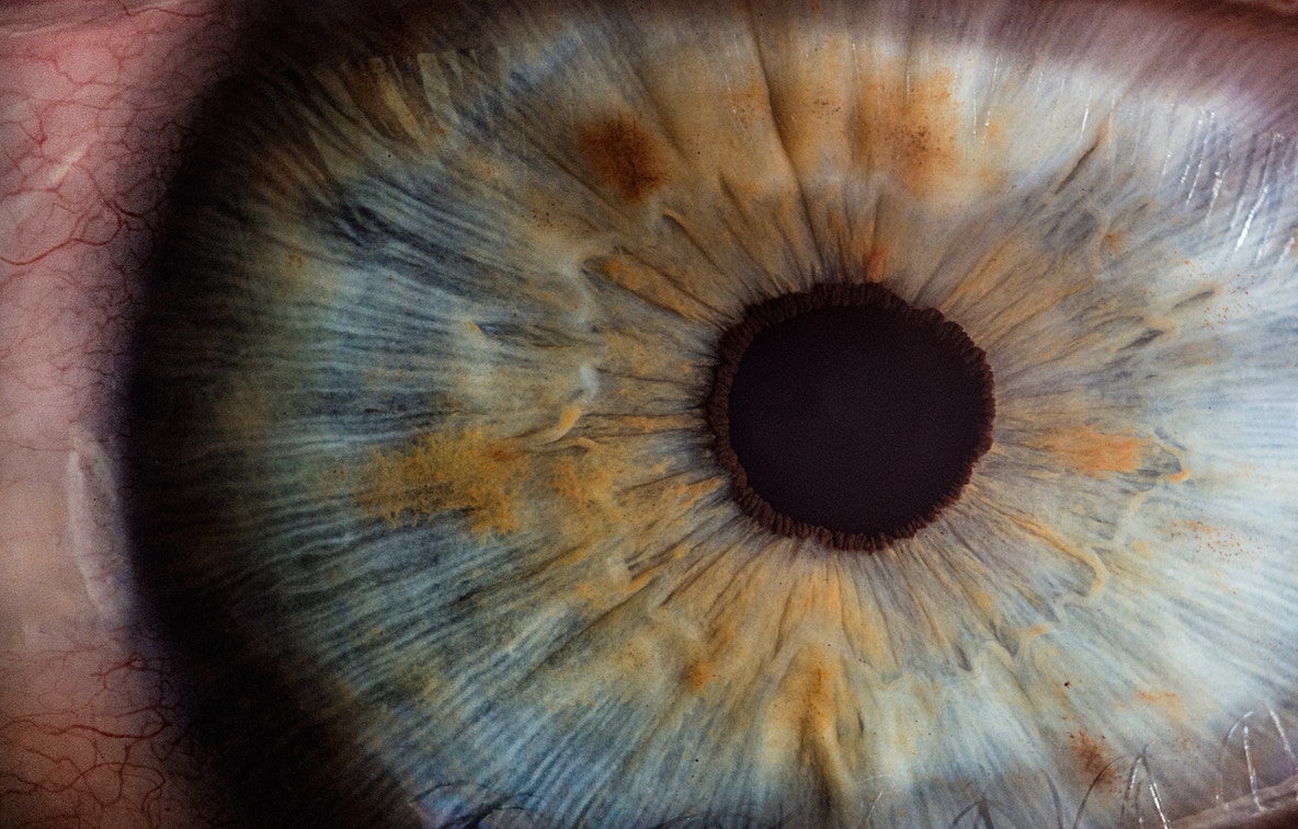 Closeup of human eye
