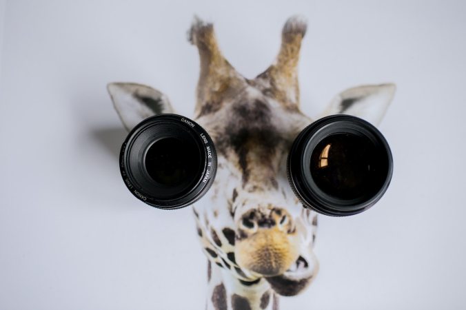 Giraffe picture with camera lenses as eyes