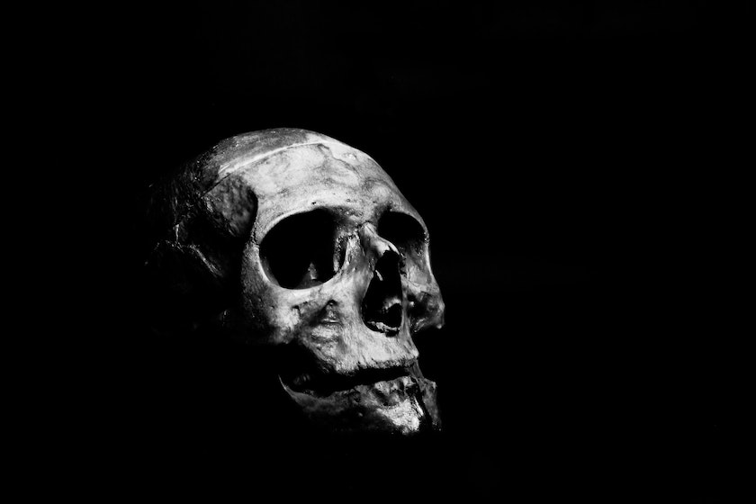 A black and white picture of a skull a