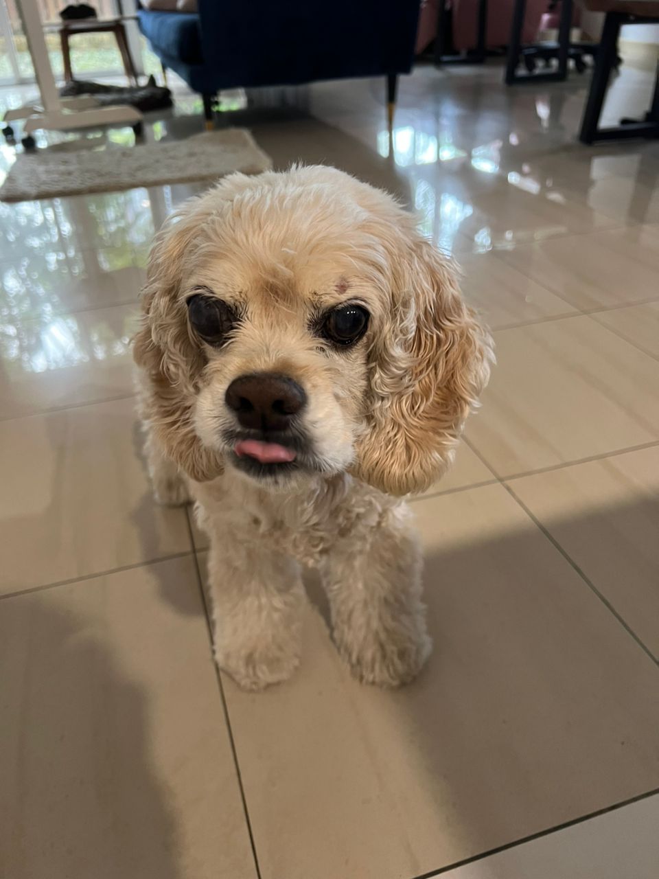 fbd6458f-ab6c-4bdf-8ac2-41e6e1509000